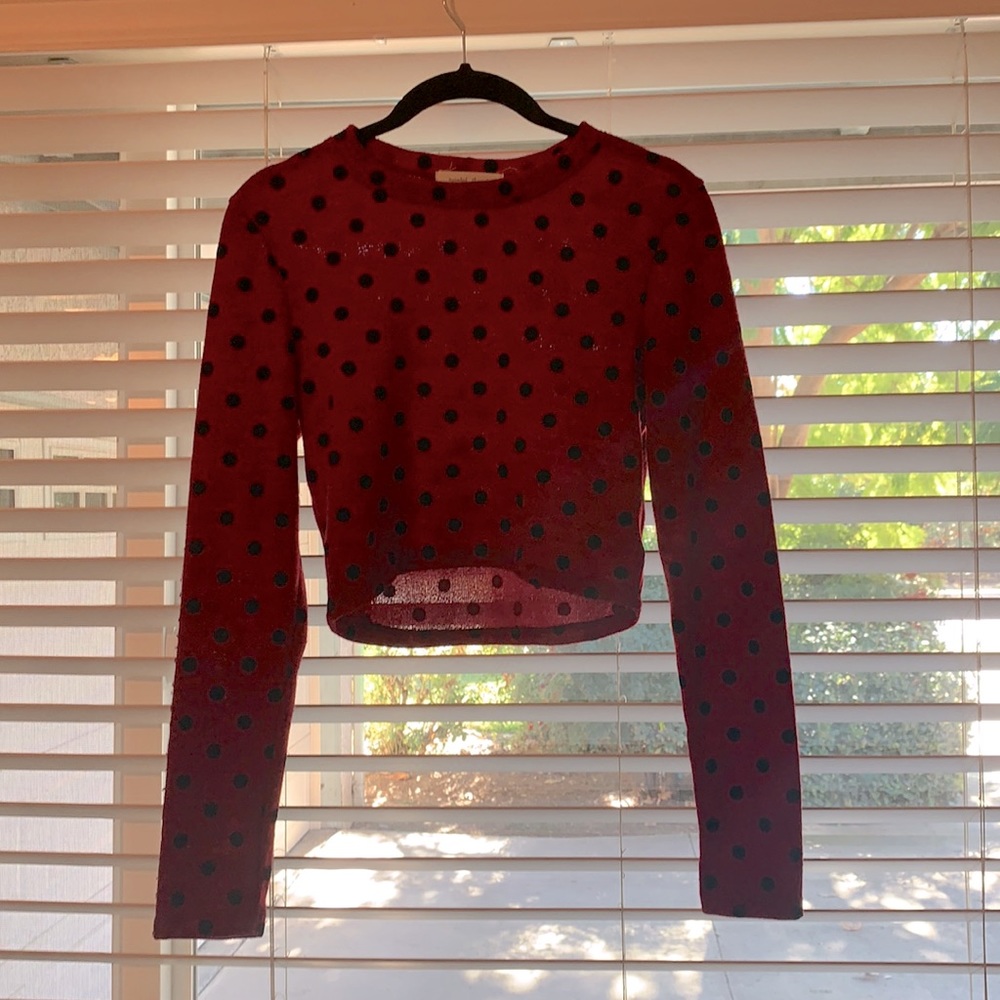 Crop top- long sleeve; size X-small.